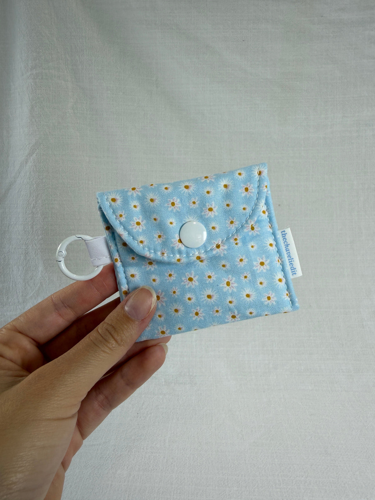 Earbuds Case